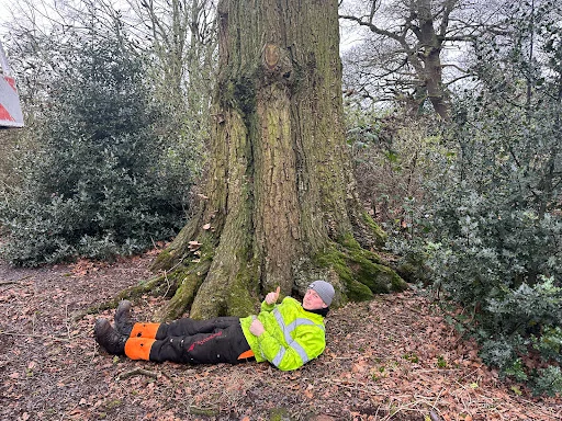 Goodall Tree Services photo 7