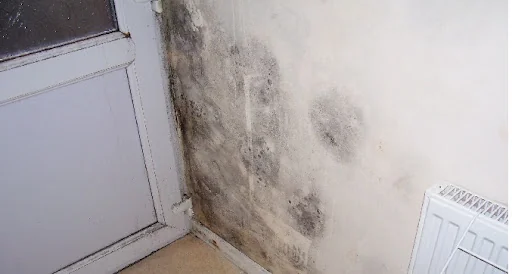 Atlas Survey And Building Services Ltd photo 1