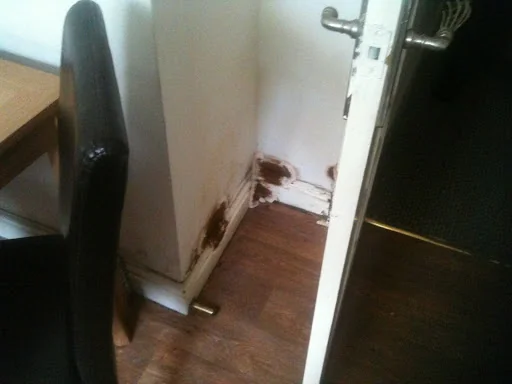 Atlas Survey And Building Services Ltd photo 7