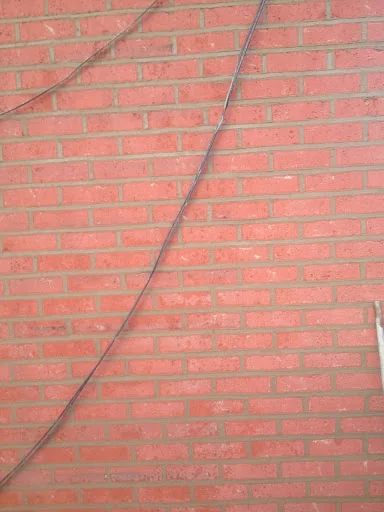 NC Pointing photo 2