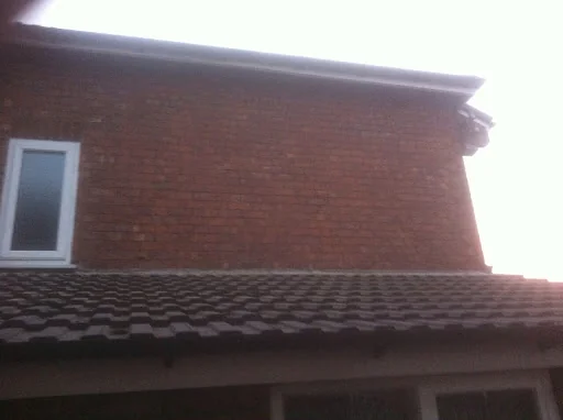 NC Pointing photo 6