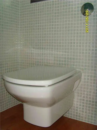 PPH photo 6