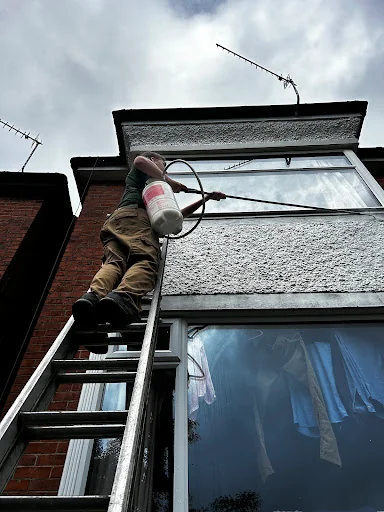 Guildford Pest Control Ltd photo 2