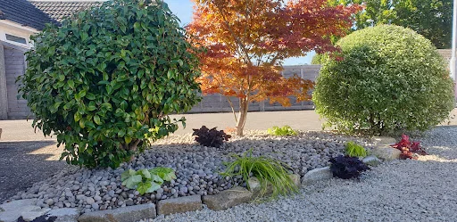 Be Wise Garden Services photo 1
