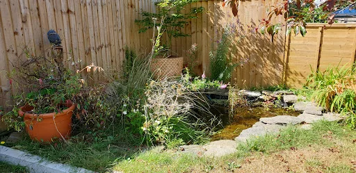 Be Wise Garden Services photo 3