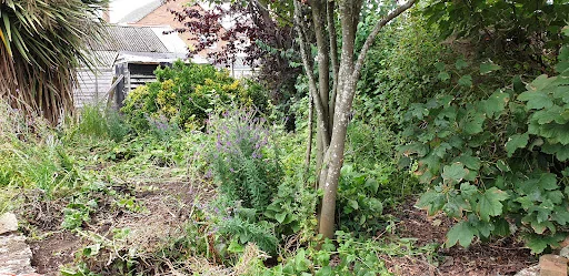 Be Wise Garden Services photo 5