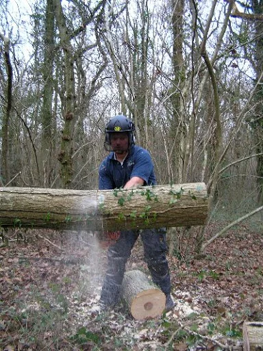 Stump &amp; Grind Ltd photo 1