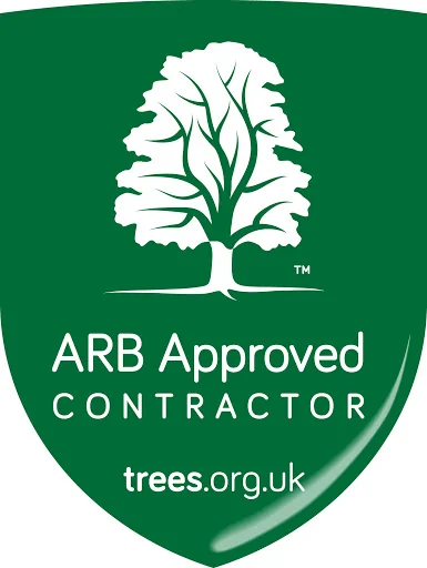 1st Call Trees Ltd photo 4