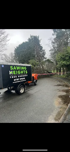 Sawing Heights Tree Surgery photo 7