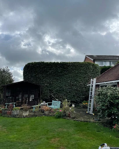 Jones Tree Specialists photo 2