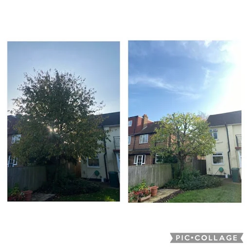 Jones Tree Specialists photo 3