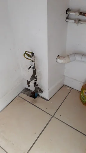 The Pest Controller photo 4
