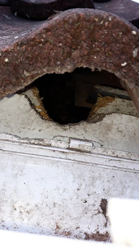 The Pest Controller photo 7