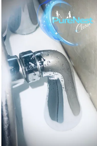 Pure Nest Clean photo 1