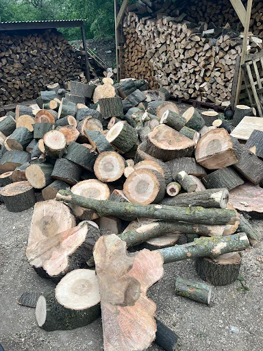 Toby Stone Tree Surgeon Ltd photo 1