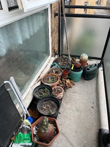 Amber House Clearance photo 5