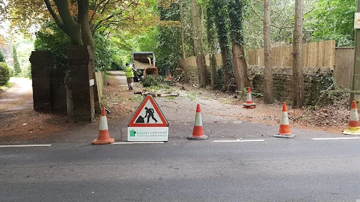 Expert Tree Services Ltd photo 2