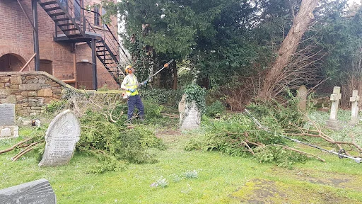 Expert Tree Services Ltd photo 4