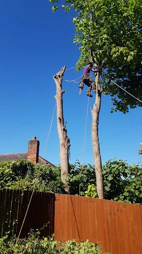Expert Tree Services Ltd photo 5