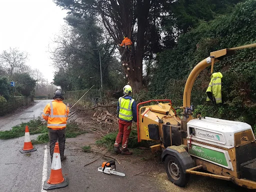 Expert Tree Services Ltd photo 6