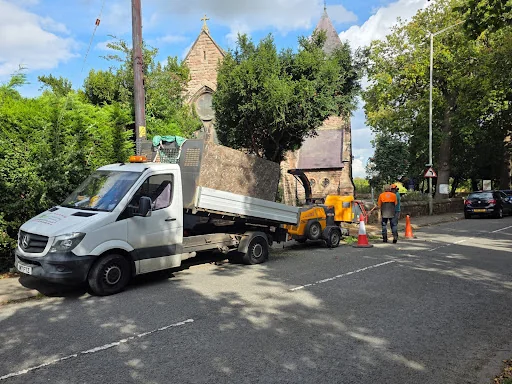 Expert Tree Services Ltd photo 7