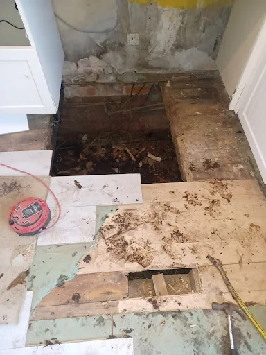 Damp Proofing 2010 photo 2