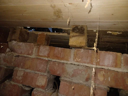 Damp Proofing 2010 photo 3
