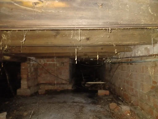 Damp Proofing 2010 photo 4