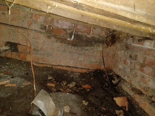 Damp Proofing 2010 photo 5