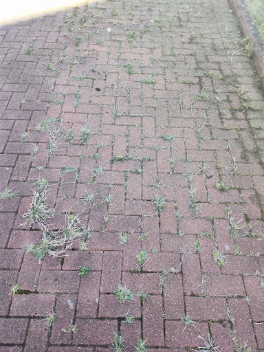KC Pressure Washing Services Ltd photo 1