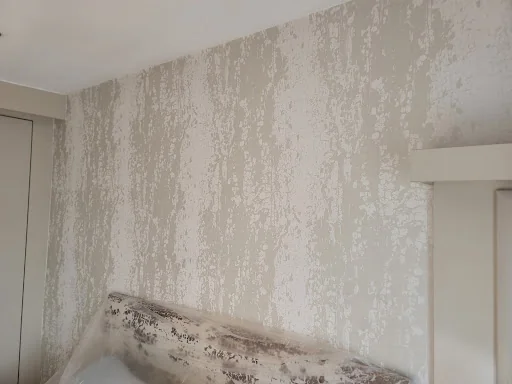 Decor Services photo 2