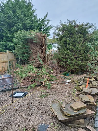 CB Landscapes photo 1