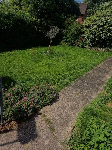 JNT Gardening photo 1