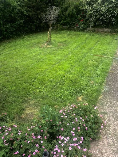 JNT Gardening photo 2