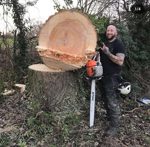 Tree Ninjas photo 4