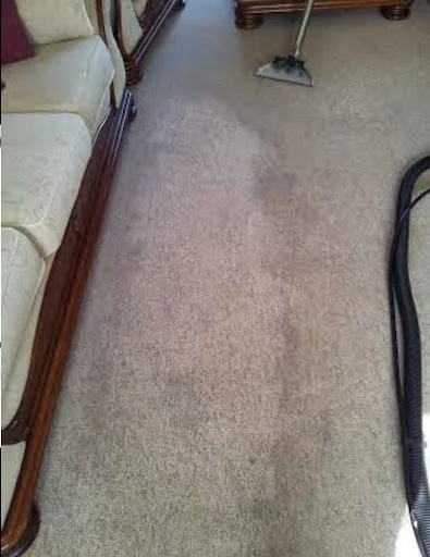 Coast Carpet Cleaners Ltd photo 2