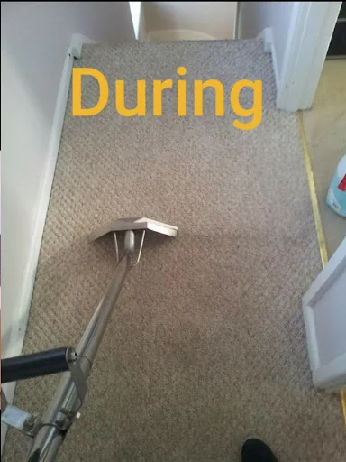 Coast Carpet Cleaners Ltd photo 4
