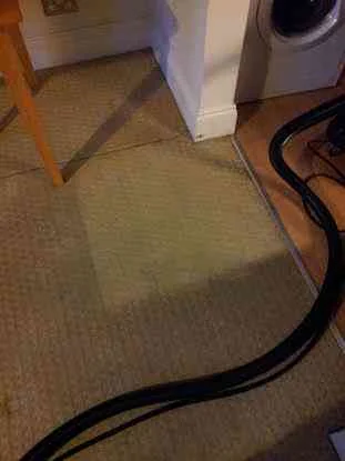 Coast Carpet Cleaners Ltd photo 7