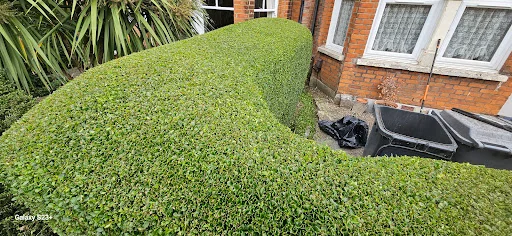 SS.Gardens Ltd photo 1