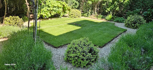 SS.Gardens Ltd photo 3