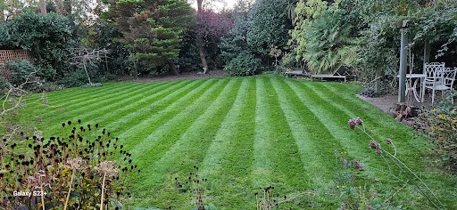 SS.Gardens Ltd photo 7