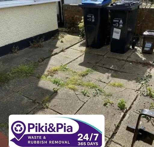 Piki&amp;Pia LTD photo 4
