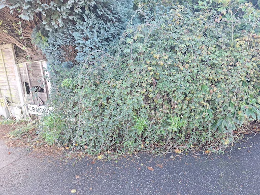 J &amp; P Rubbish Clearance photo 4