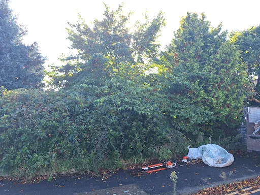 J &amp; P Rubbish Clearance photo 6