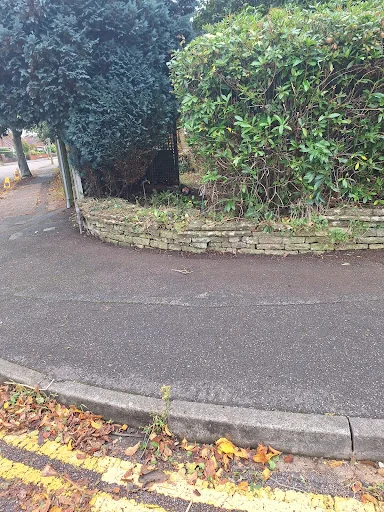 J &amp; P Rubbish Clearance photo 8
