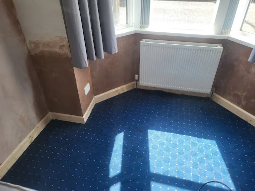 NI Damp Solutions Ltd photo 7
