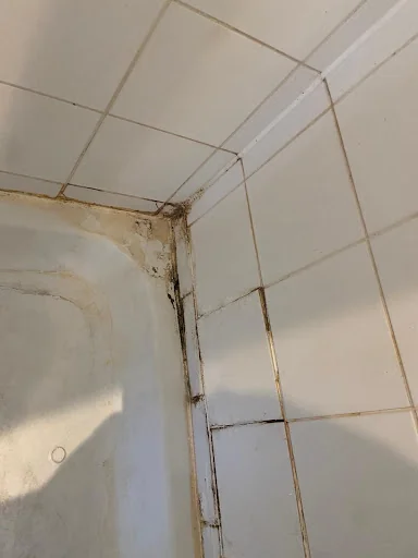 SAFA CLEANING SERVICES LTD photo 2
