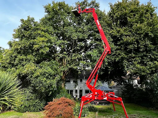 Thames Valley Arborists Limited photo 1