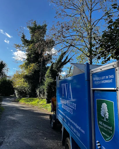 Thames Valley Arborists Limited photo 4