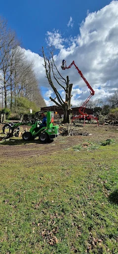 Thames Valley Arborists Limited photo 8